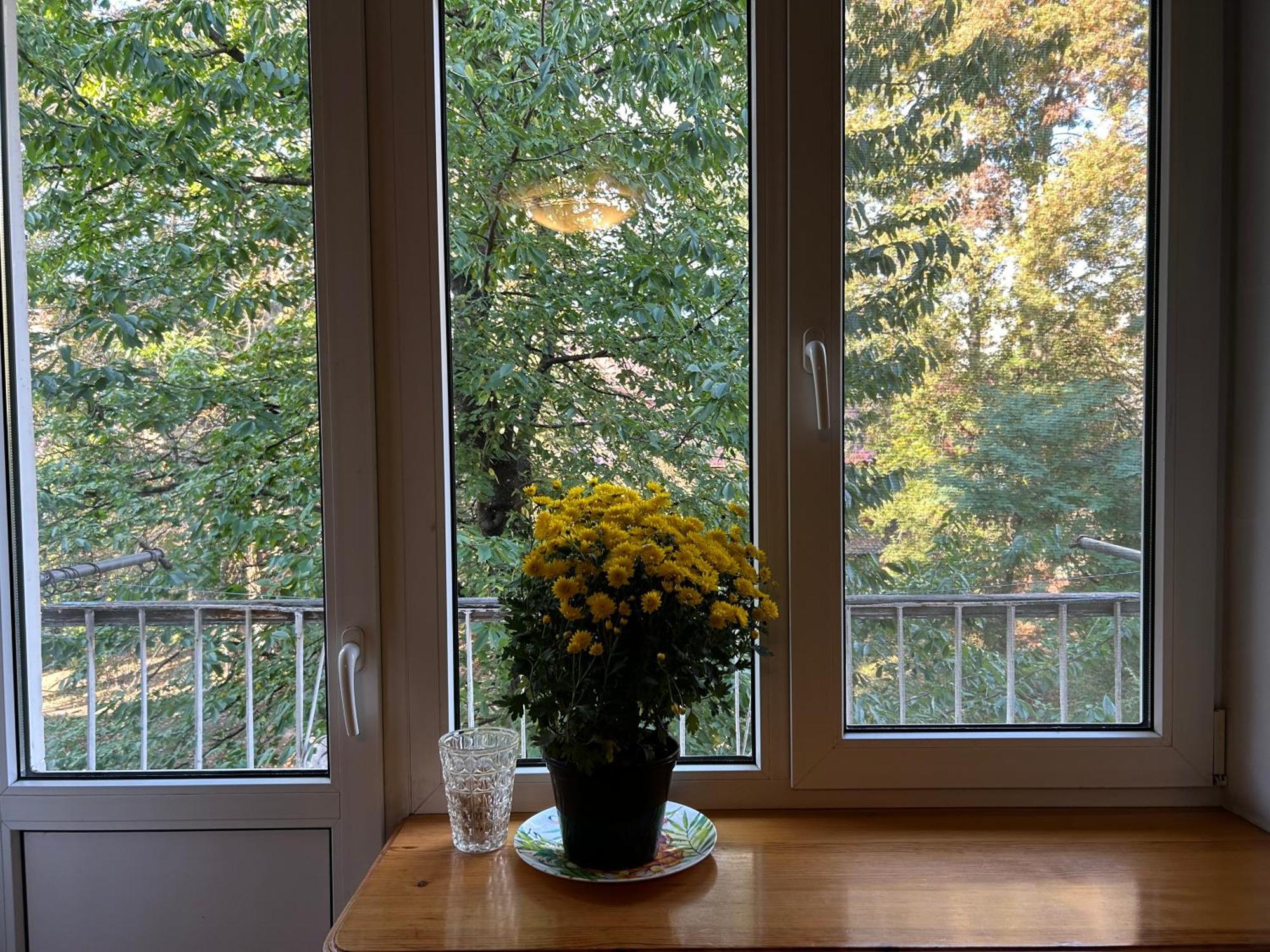 Three Bedroom Stepana Bandery Street Rivne Buitenkant foto